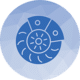 Lloyd Morgan Group | Industry Leaders in Transport Compliance Solutions
