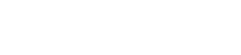 Lloyd Morgan Group